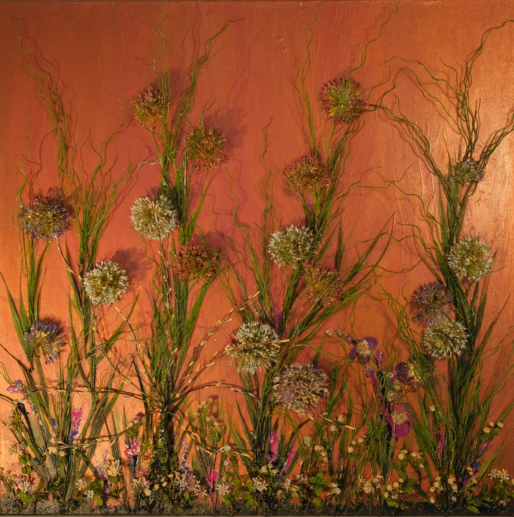 Dandelions